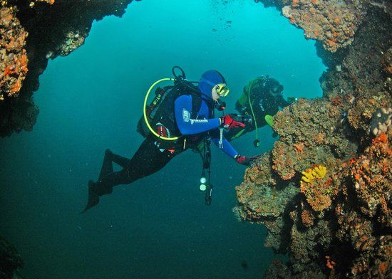 Diving Center Diving Pula